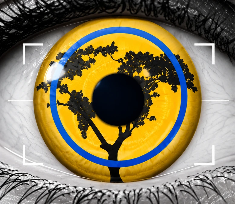 eye_website